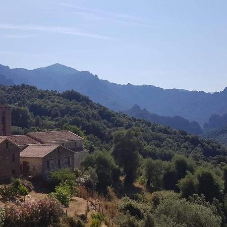 Maison Typique En Plein Coeur De Village Arbori Bagian luar foto